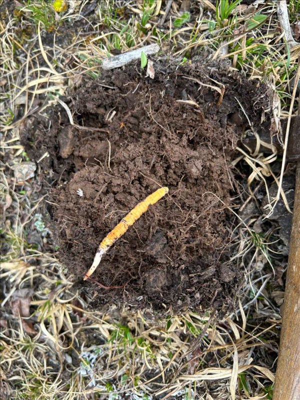 Đóng gói sản phẩm