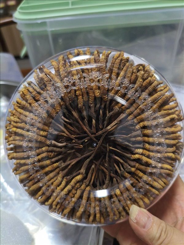 Đóng gói sản phẩm