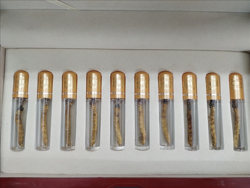 Trùng Rân Tây Tạng, Trung Quốc