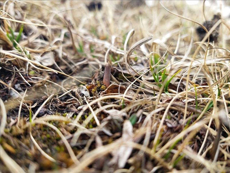 Môi trường tự nhiên